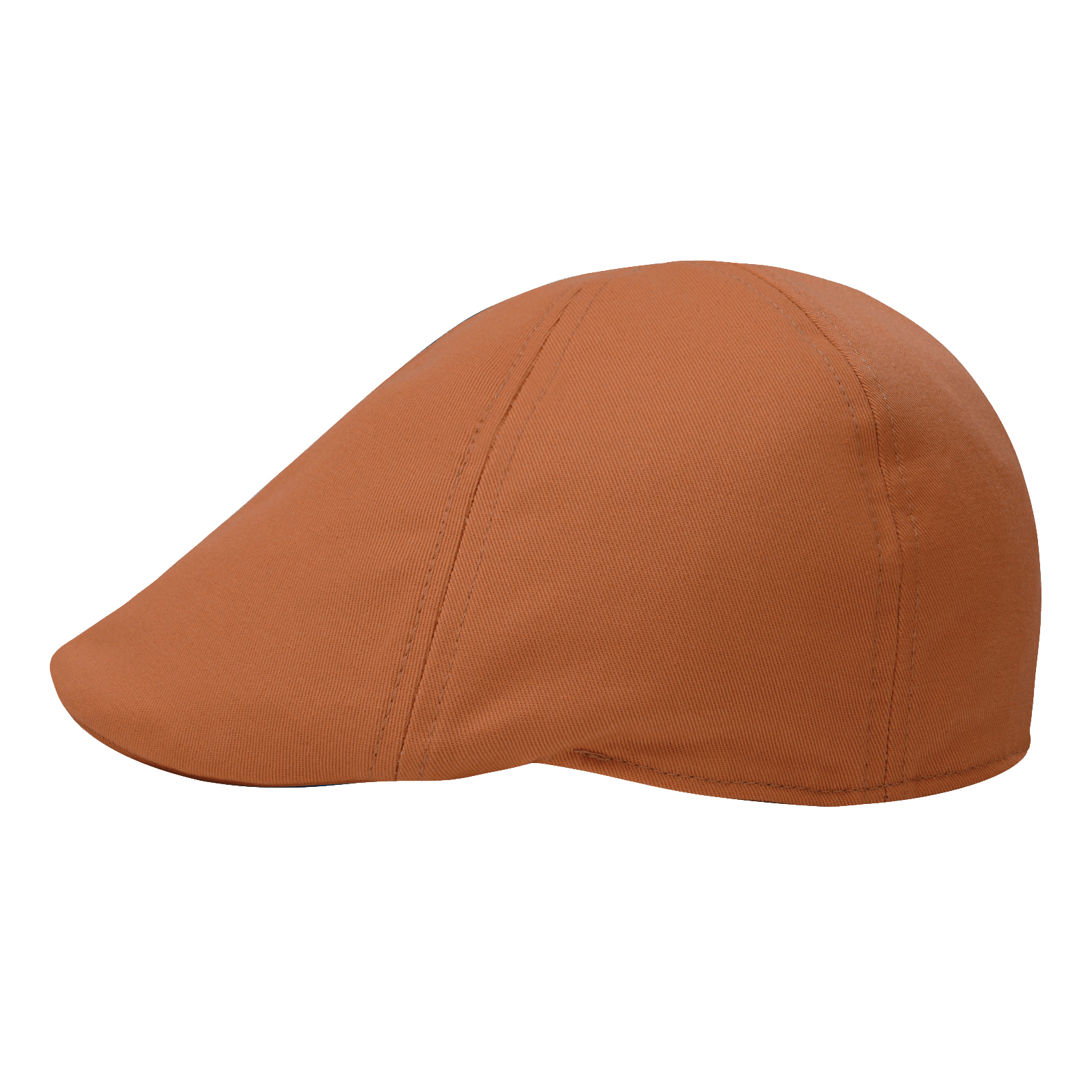 STARANCE Men's Classic Cotton  - Newsboy Cap Ivy 리뷰 및 가격