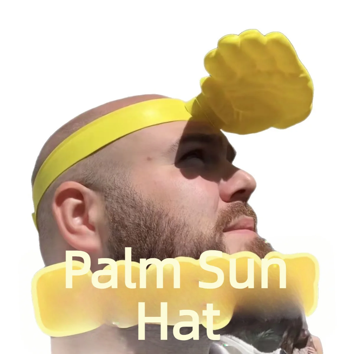 1/3Pcs Novelty 3D Palm Hand Sh - Visor Sun Hat 리뷰 및 가격